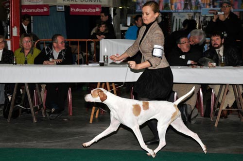 gal/Expo janvier 2010/MUSCRON--2010-439.jpg